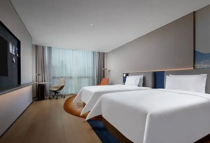 Guest Twin room