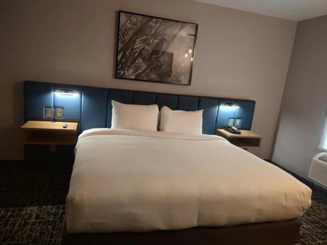 Standard Double room