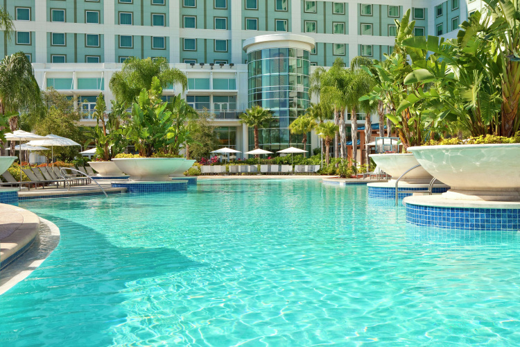 Hilton Orlando photo 20