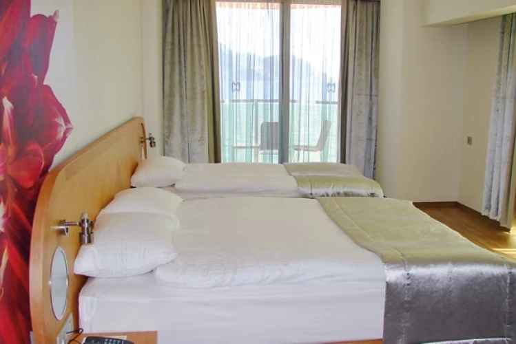 Standard Twin room with land view