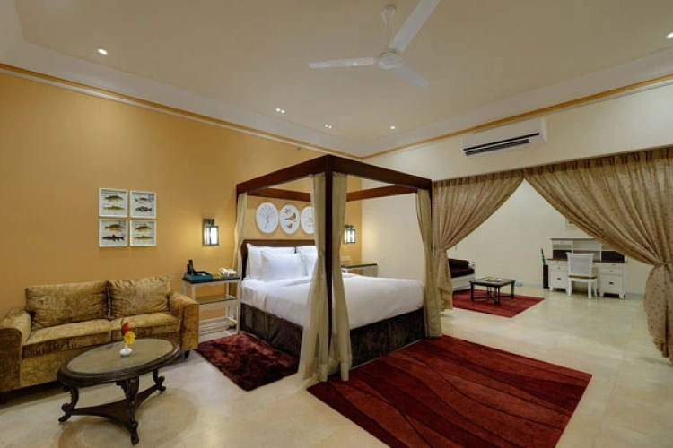 Premium Double Suite