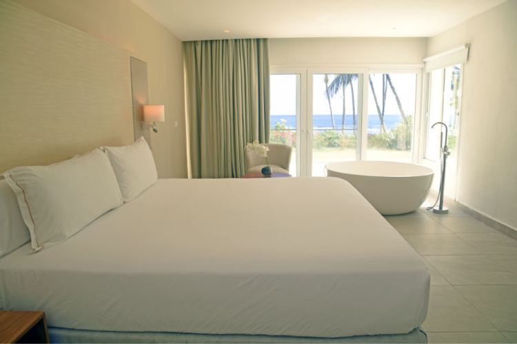 1 Bedroom Presidential Private Pool Double Senator Suite