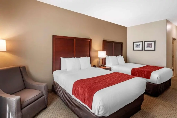 2 Bedrooms Quadruple Suite