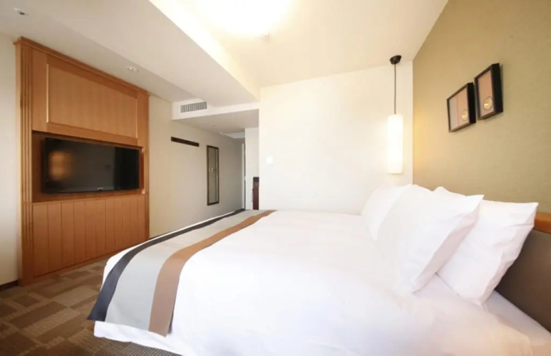 Richmond Hotel AsakusaOver view
