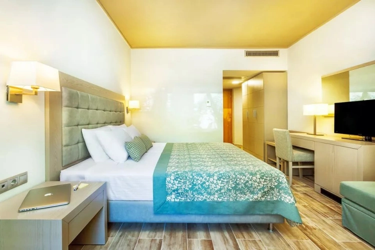 With Limited Mountain View Double room
