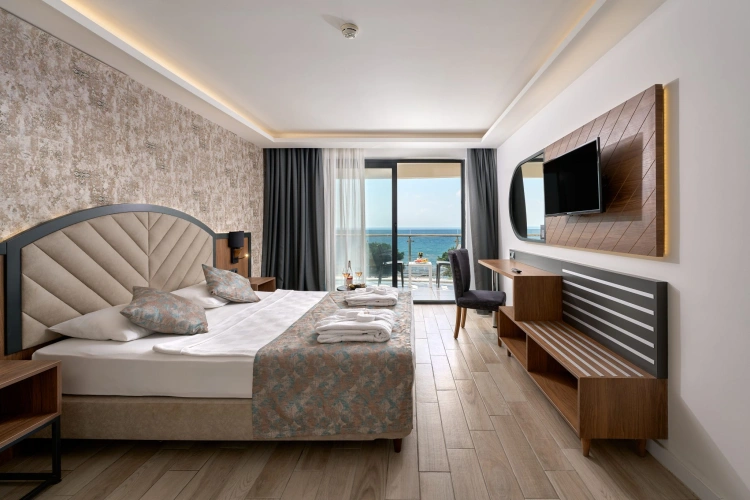 Standard Twin room with land view