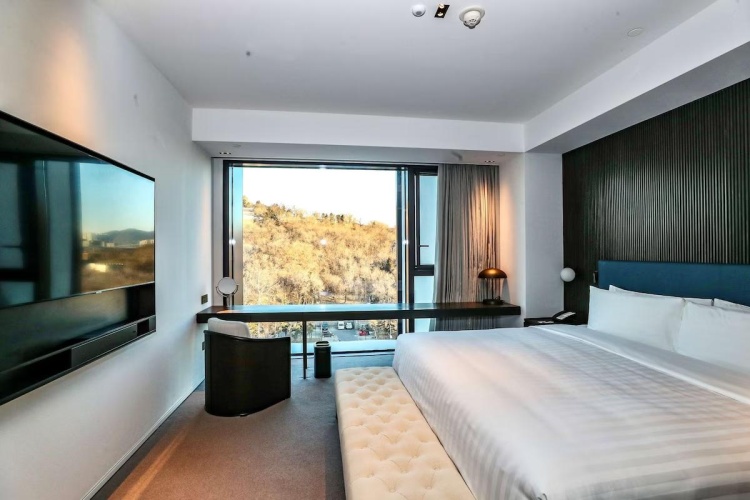 Executive Double Suite