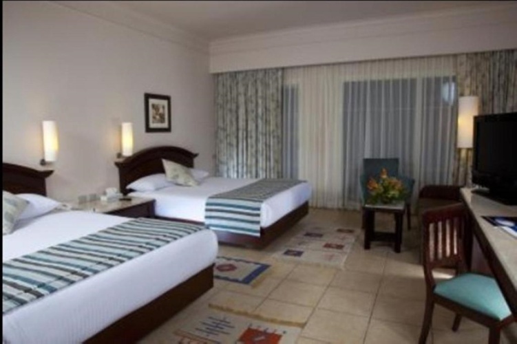 Chalet Standard Twin room with garden view