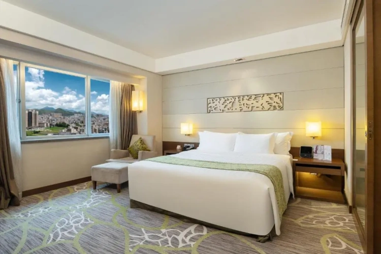 Premium Double room with city view