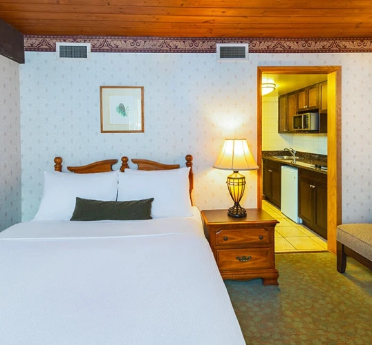 Kitchenette Suite