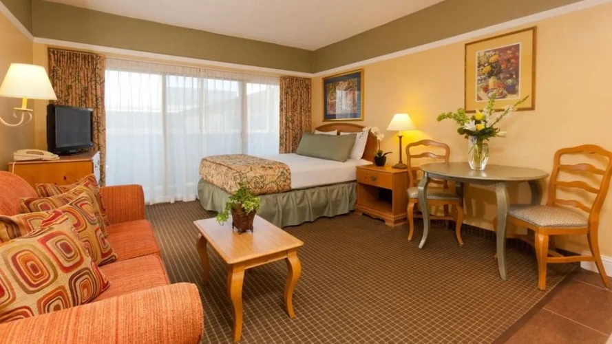 Studio Accessible Suite