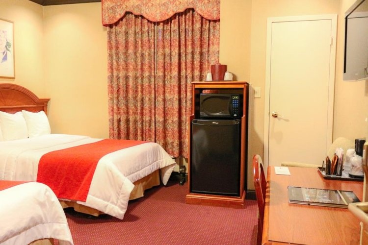 Deluxe Twin Suite