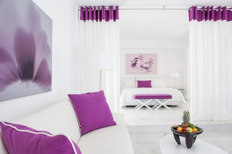 Delight with Private Pool Double Suite with sea view