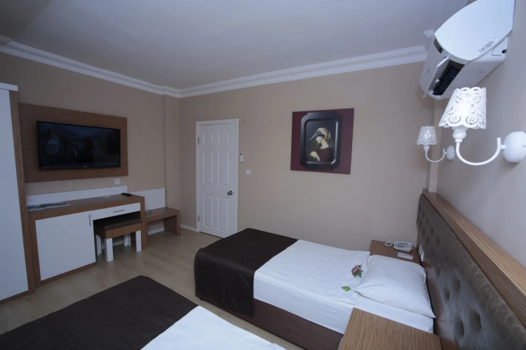 Standard Twin room with land view
