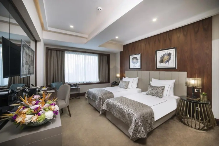 Superior room with land view