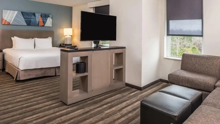 Accessible Double Kitchen Studio Suite