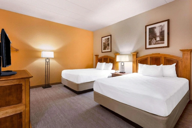 Deluxe Twin Suite with river view