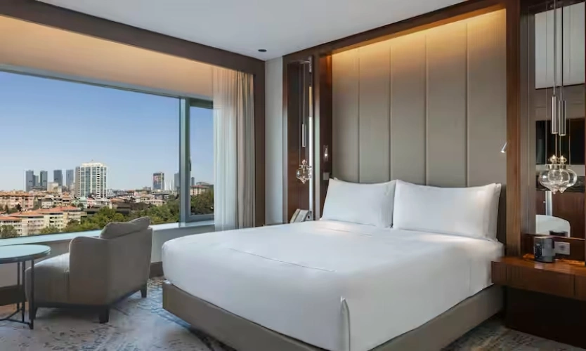 Deluxe Double room with park view