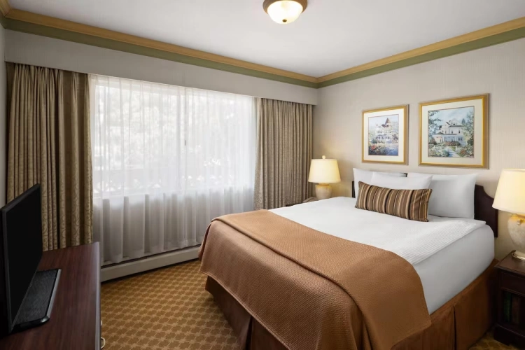 1 Bedroom Suite