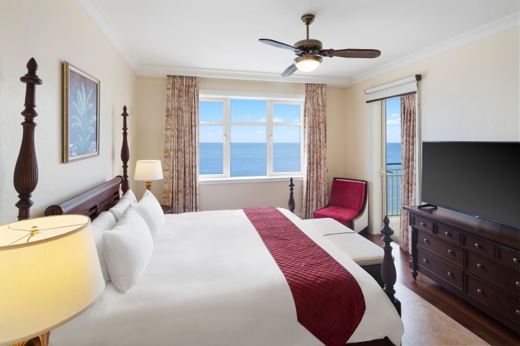 1 Bedroom Double Suite with view