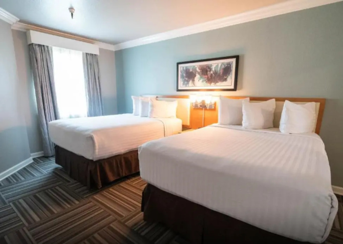 Pet Friendly Monarch Twin Suite