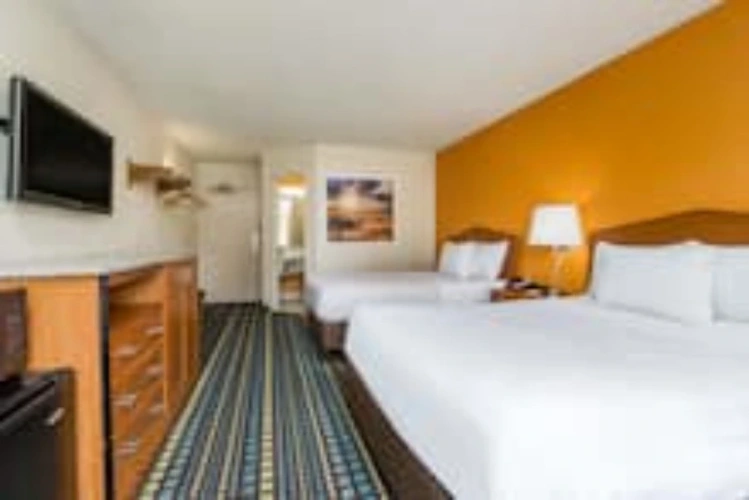 Twin room