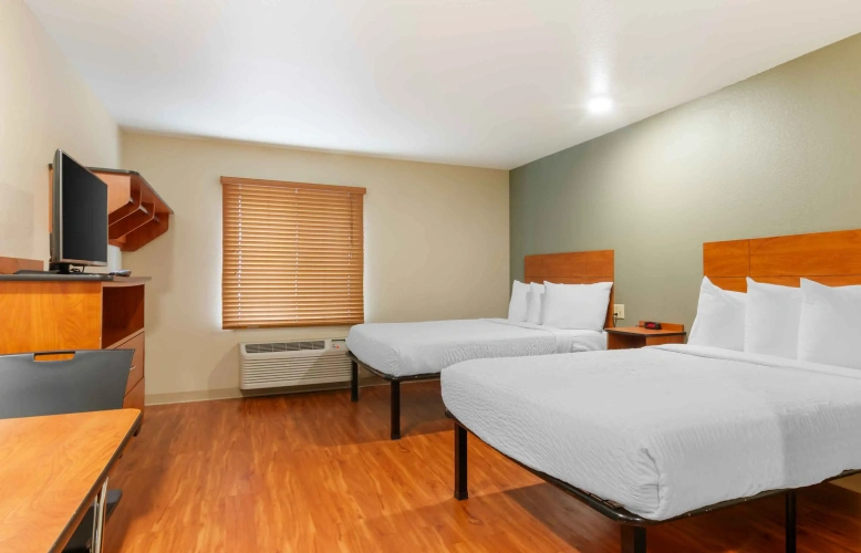 Quadruple Studio Suite