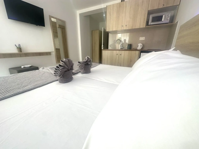 Superior Patio & Direct Pool Access Double room