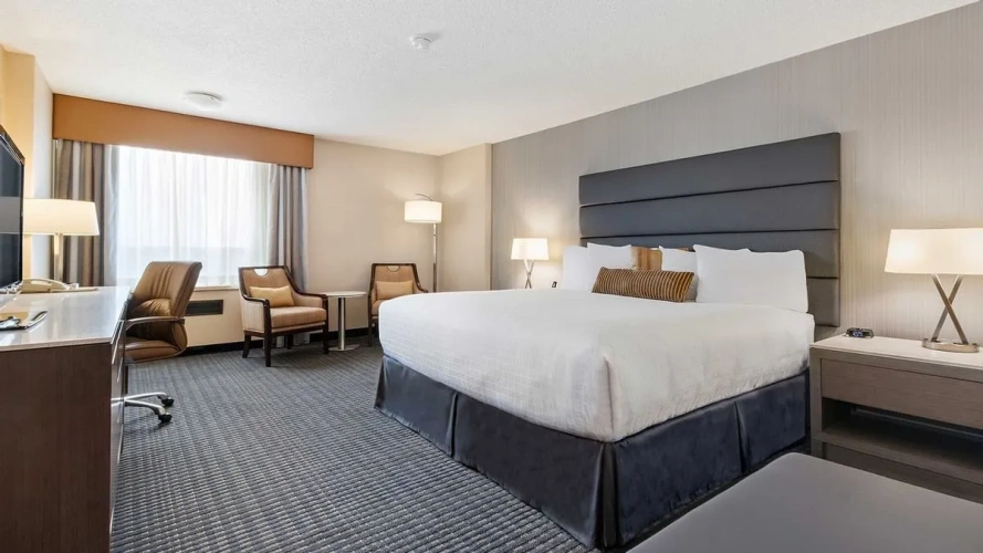 Elite Double room