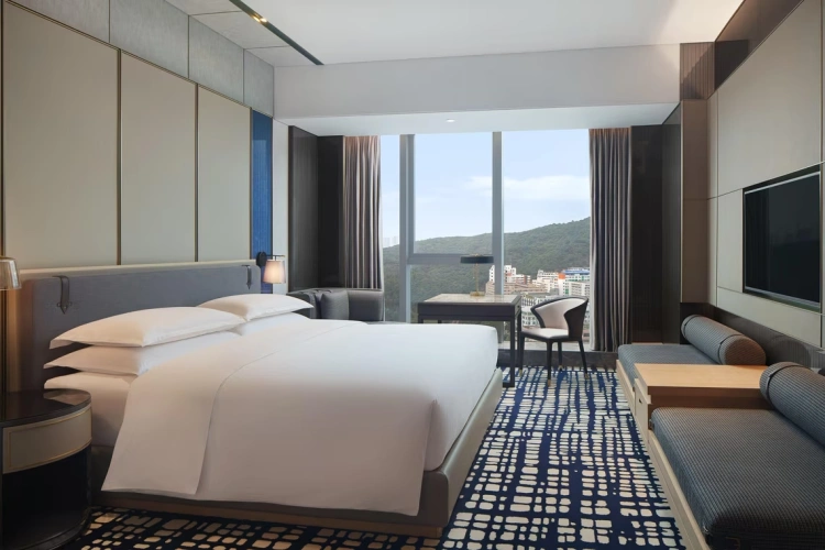 Guest Executive Lounge Access Double room with city view