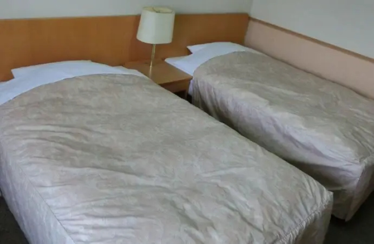 Twin room with Fuji View