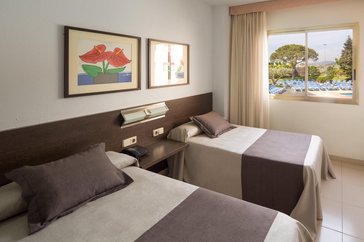 Premium Suite