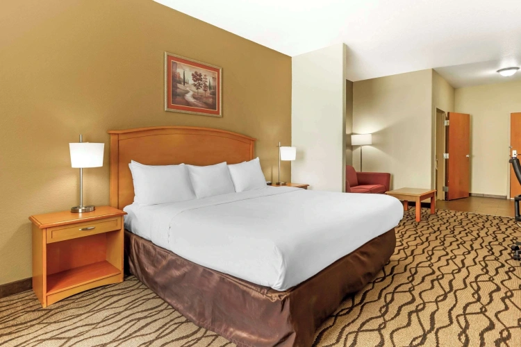 Wheelchair Accessible Double Room