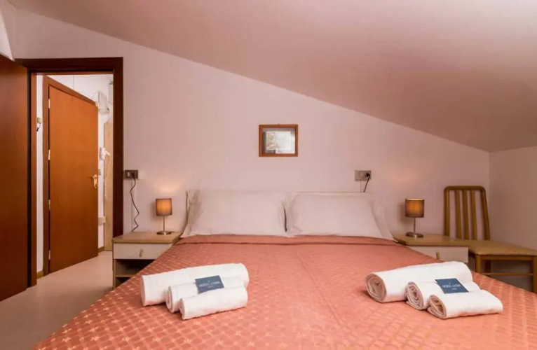 Standard Double Attic room