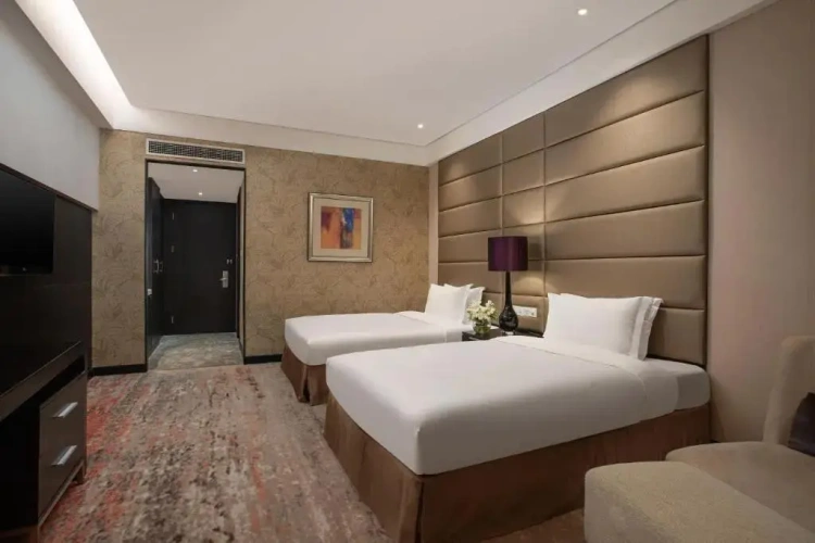 Premium Lounge Access Twin room with lake view