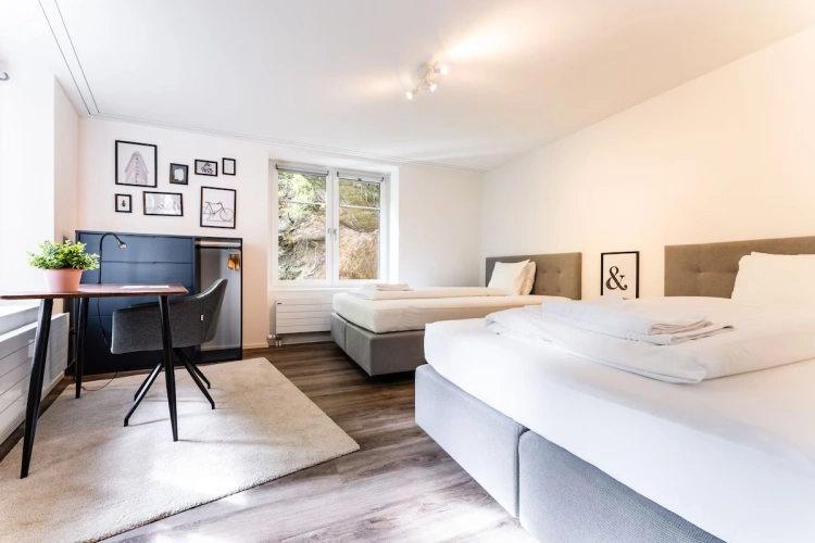Budget Twin room