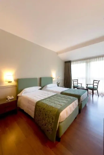 Classic Twin room with city view