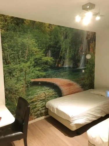 Budget Single room