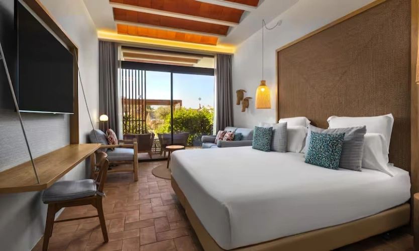 Club Double room with pool view