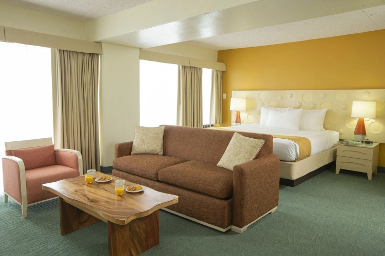 Executive ADA Double Suite