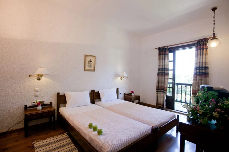 Standard Double room with garden view