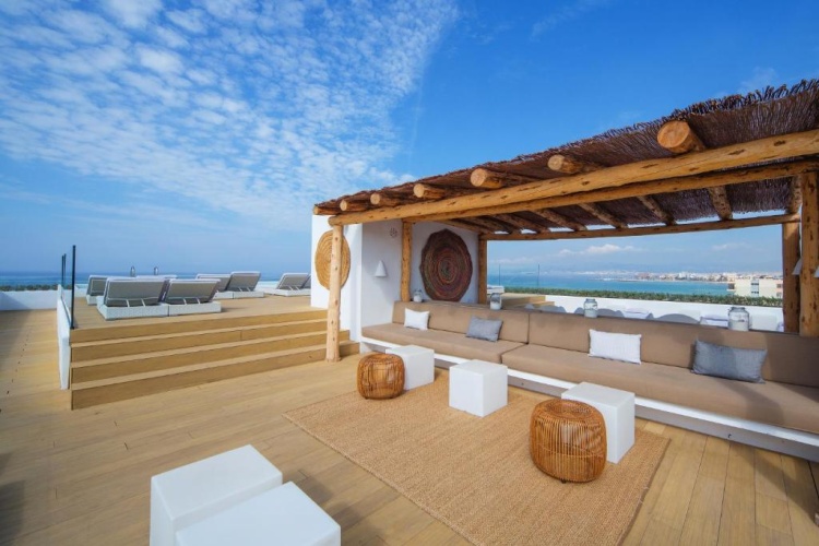 Hm Tropical photo 27