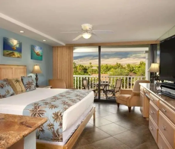 Premier Double Studio Mountain View