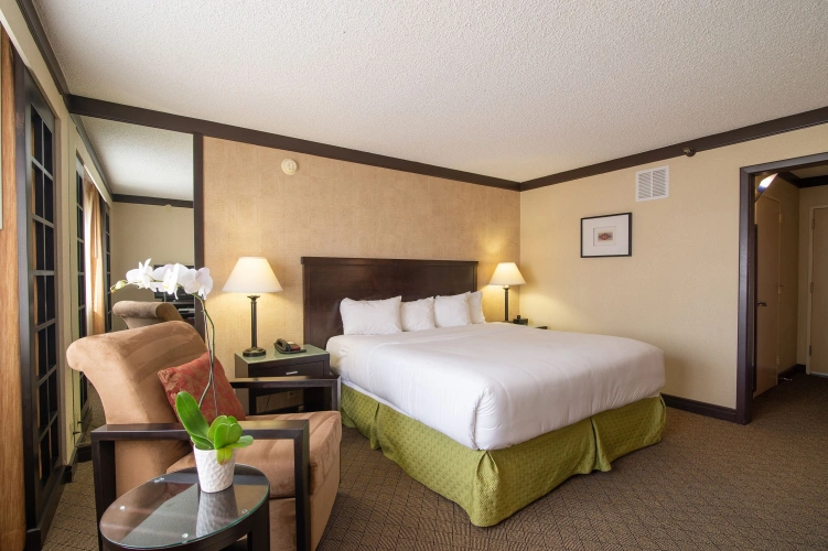 Executive Double room