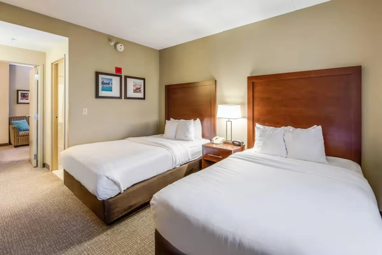 Quadruple Suite