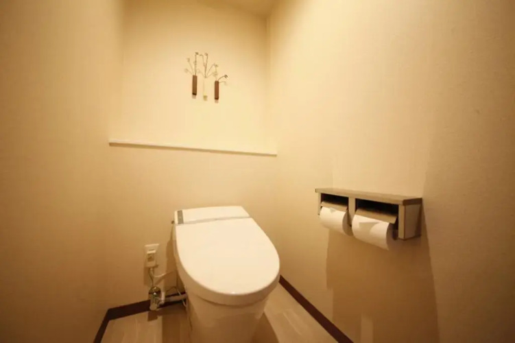 Richmond Hotel AsakusaOver view