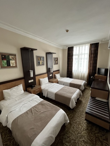 Triple room