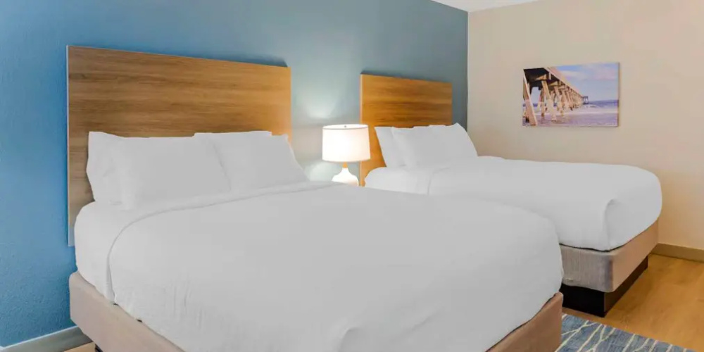 Pet Friendly Twin room