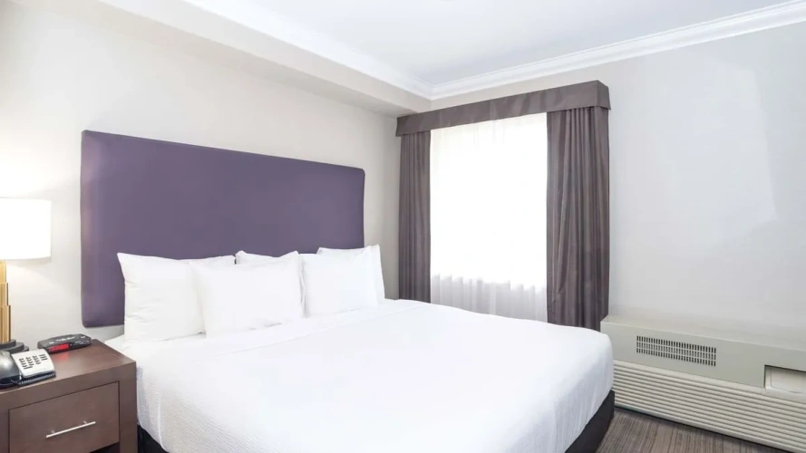 Premium Double Suite