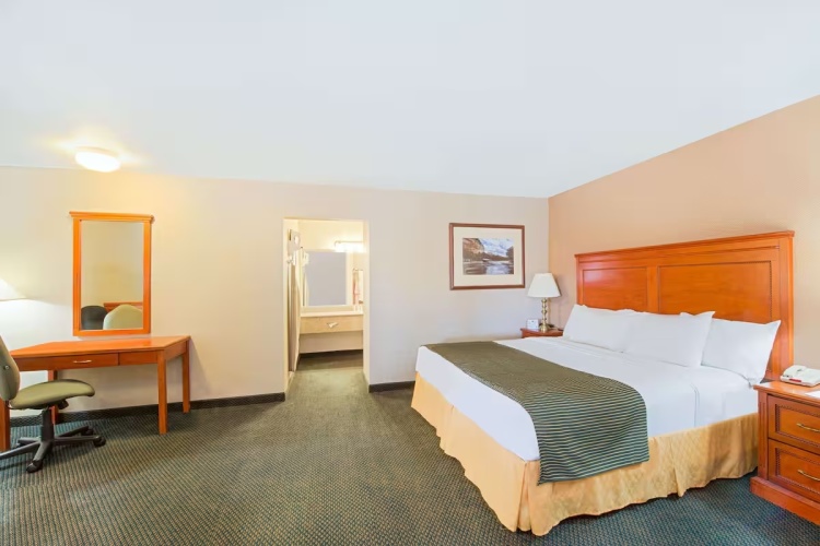 Double Studio Suite